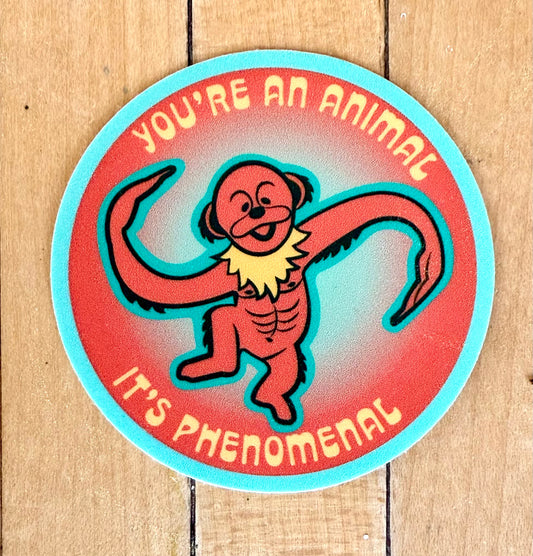 ANIMAL (orange & teal)