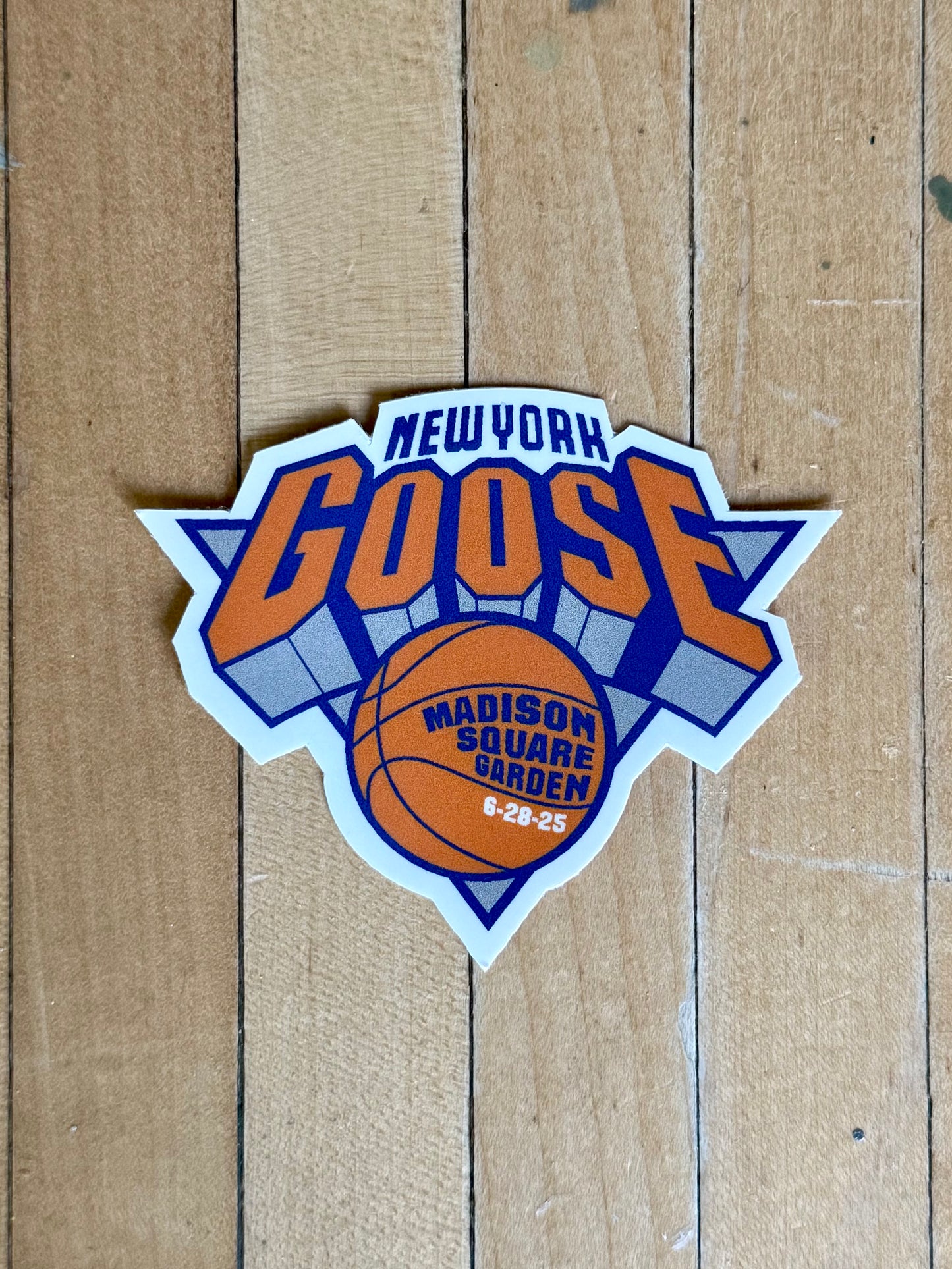 GOOSE MSG 2025