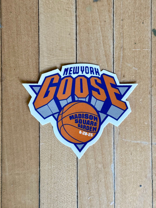 GOOSE MSG 2025